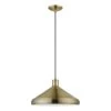 Geneva 1-Light Antique Brass Pendant by Livex Lighting