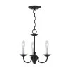 Home Basics 3 Light Black Mini Chandelier by Livex Lighting
