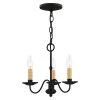 Heritage 3 Light Black Mini Chandelier by Livex Lighting