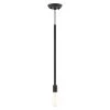 Prague 1 Light Black Pendant by Livex Lighting