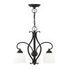 Brookside 3 Light Black Convertible Chain Hang/Ceiling Mount by Livex Lighting