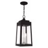Oslo 3 Light Black Outdoor Pendant Lantern by Livex Lighting