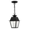 Mansfield 1 Light Black Outdoor Pendant Lantern by Livex Lighting