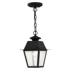 Mansfield 1 Light Black Outdoor Pendant Lantern by Livex Lighting
