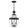 Monterey 2 Light Black Outdoor Pendant Lantern by Livex Lighting