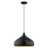 Metal Shade Mini Pendants 1 Light Shiny Black Mini Pendant by Livex Lighting
