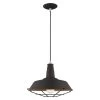 Metal Shade Mini Pendants 1 Light Black Mini Pendant by Livex Lighting