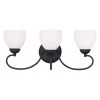Brookside 3 Light Black Bath Vanity by Livex Lighting