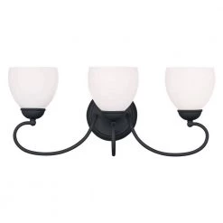 Brookside 3 Light Black Bath Vanity by Livex Lighting