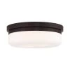Stratus 2 Light Bronze Flush Mount or Wall Mount by Livex Lighting