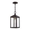 Nyack 1 Light Bronze with Antique Brass Cluser Outdoor Pendant Lantern by Livex Lighting