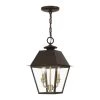 Wentworth 2-Light Bronze Outdoor Medium Pendant Lantern with Antique Brass Cluster by Livex Lighting