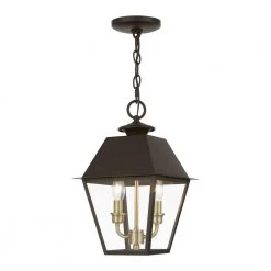 Wentworth 2-Light Bronze Outdoor Medium Pendant Lantern with Antique Brass Cluster by Livex Lighting