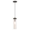 Art Glass Mini Pendants 1 Light Bronze Mini Pendant by Livex Lighting