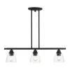 Montgomery 3 Light Black Linear Chandelier by Livex Lighting