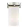Astoria 1-Light Ceiling Brushed Nickel Incandescent Flush Mount by Livex Lighting