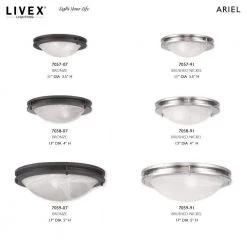 Ariel 2 Light Brushed Nickel Flush Mount by Livex Lighting -Livex Lighting shop brushed nickel livex lighting flush mount lights 7058 91 d4 1000