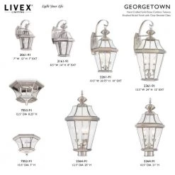 Georgetown 1 Light Brushed Nickel Outdoor Wall Sconce by Livex Lighting -Livex Lighting shop brushed nickel livex lighting outdoor sconces 2161 91 d4 1000
