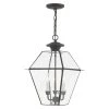 Westover 3 Light Charcoal Outdoor Pendant Lantern by Livex Lighting
