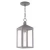 Nyack Small 1-Light Nordic Gray Outdoor Pendant Lantern by Livex Lighting
