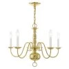 Williamsburgh 5 Light Polished Brass Chandelier by Livex Lighting