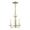 3-Light Polished Brass Chandelier by Livex Lighting