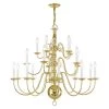 Williamsburgh 20 Light Polished Brass Chandelier by Livex Lighting