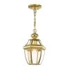 Monterey 1-Light Polished Brass Outdoor Pendant Light by Livex Lighting