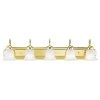 Riviera 5 Light Polished Brass Bath Vanity by Livex Lighting
