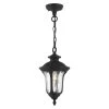 Oxford 1 Light Textured Black Outdoor Pendant Lantern by Livex Lighting