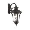 Oxford 1 Light Textured Black Outdoor Wall Sconce by Livex Lighting